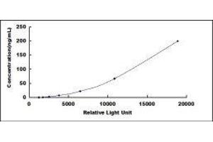 ELISA image for Cartilage Oligomeric Matrix Protein (COMP) CLIA Kit (ABIN1081273)