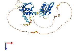 STAP2 Protein (AA 1-403) (His tag)