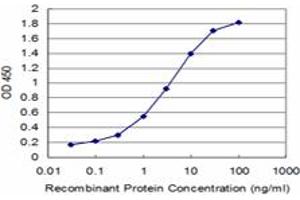 Detection limit for recombinant GST tagged KAL1 is approximately 0. (KAL1 抗体  (AA 548-657))