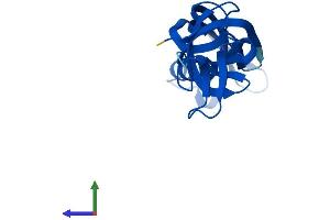 Protein Structure (PS) image for Polymerase (RNA) II (DNA Directed) Polypeptide G (POLR2G) (AA 1-172) protein (His tag) (ABIN7551524)