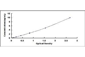 Typical standard curve (Dystrophin ELISA 试剂盒)