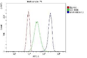 Flow Cytometry analysis of A431 cells using anti-MVP antibody (ABIN7600195).