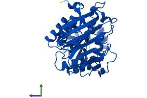 AlphaFold protein structure predicition of Human Recombinant DHDH Protein, UniprotID Q9UQ10