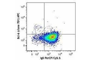 Flow Cytometry (FACS) image for anti-B-Cell CLL/lymphoma 6 (BCL6) antibody (APC) (ABIN2656876) (BCL6 抗体  (APC))