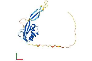 Protein Structure (PS) image for Ribonuclease P/MRP 25kDa Subunit (RPP25) (AA 1-199) protein (His tag) (ABIN7551547)