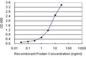 Sandwich ELISA detection sensitivity ranging from 0. (SPP1 (人) Matched Antibody Pair)