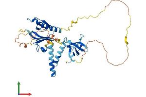 AlphaFold protein structure predicition of Mouse Recombinant Skap2 Protein, UniprotID Q3UND0