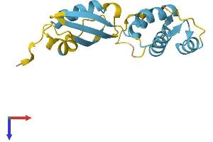 RPL12 Protein (AA 1-165) (His tag)
