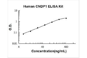 Carnosine Dipeptidase 1 (Metallopeptidase M20 Family) (CNDP1) ELISA Kit