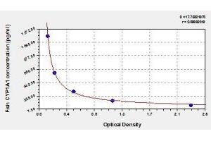 ELISA image for Cytochrome P450, Family 1, Subfamily A, Polypeptide 1 (CYP1A1) ELISA Kit (ABIN1094993)
