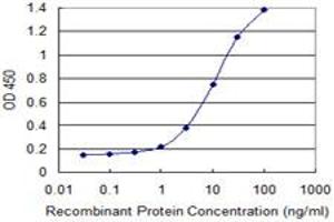 Detection limit for recombinant GST tagged RGS20 is 0. (RGS20 抗体  (AA 78-176))