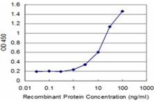 Detection limit for recombinant GST tagged RNF2 is approximately 1ng/ml as a capture antibody. (RNF2 抗体  (AA 192-290))