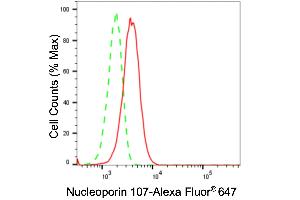 Flow cytometric analysis of Nucleoporin 107 expression in HeLa cells using Nucleoporin 107 antibody (ABIN7799674), 1:2,000).