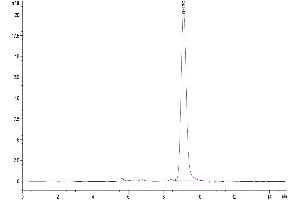 Size-exclusion chromatography-High Pressure Liquid Chromatography (SEC-HPLC) image for serpin Peptidase Inhibitor, Clade F (Alpha-2 Antiplasmin, Pigment Epithelium Derived Factor), Member 1 (SERPINF1) (AA 20-417) protein (His tag) (ABIN7275577)