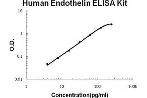 Human Endothelin Accusignal ELISA Kit Human Endothelin AccuSignal ELISA Kit standard curve. (Endothelin ELISA 试剂盒)