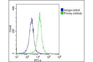 Overlay histogram showing HeLa cells stained with (ABIN6243398 and ABIN6578829)(green line). (DLX1 抗体  (AA 84-118))