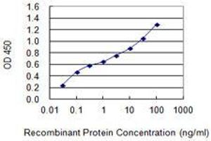 Detection limit for recombinant GST tagged HNF1A is 0. (HNF1A 抗体  (AA 532-631))
