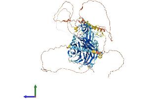 Protein Structure (PS) image for Abelson Helper Integration Site 1 (AHI1) (AA 1-1047) protein (His tag) (ABIN7564649)