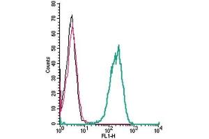 Cell surface detection of TSH Receptor by indirect flow cytometry in live intact human THP-1 monocytic leukemia cells: (black line) Cells. (TSH receptor 抗体  (Extracellular))