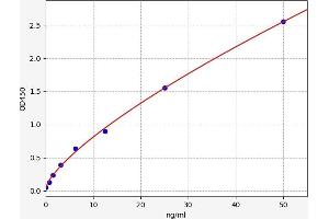 Typical standard curve (Hepsin ELISA 试剂盒)