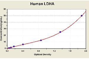 Diagramm of the ELISA kit to detect Human LDHAwith the optical density on the x-axis and the concentration on the y-axis.