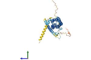 Protein Structure (PS) image for Secretory Carrier Membrane Protein 2 (SCAMP2) (AA 1-329) protein (His tag) (ABIN7545966)