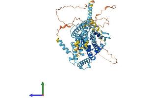 AlphaFold protein structure predicition of Human Recombinant SLC34A1 Protein, UniprotID Q06495 (Solute Carrier Family 34 (Type II Sodium/phosphate Contransporter), Member 1 (SLC34A1) (AA 1-639) protein (His tag))