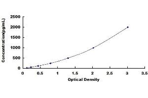 Typical standard curve (S100B ELISA 试剂盒)