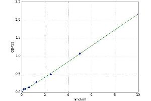 Mitochondrially Encoded NADH Dehydrogenase 1 (MT-ND1) ELISA Kit