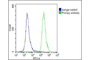 Overlay histogram showing U-2 OS cells stained with (ABIN655583 and ABIN2845073)(green line). (DUX4 抗体  (AA 246-275))