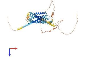 AlphaFold protein structure predicition of Mouse Recombinant Gpr176 Protein, UniprotID Q80WT4