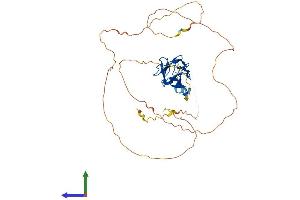 AlphaFold protein structure predicition of Mouse Recombinant Runx3 Protein, UniprotID Q64131 (RUNX3 Protein (AA 1-409) (His tag))
