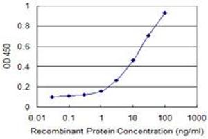 Detection limit for recombinant GST tagged FOS is 0. (c-FOS 抗体  (AA 1-380))