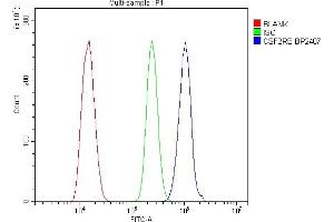 Flow Cytometry analysis of ANA-1 cells using anti-CSF2RB antibody (ABIN7601088).
