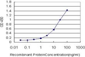 Detection limit for recombinant GST tagged TSC22D4 is approximately 0. (TSC22D4 抗体  (AA 1-395))