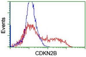 HEK293T cells transfected with either RC204895 overexpress plasmid (Red) or empty vector control plasmid (Blue) were immunostained by anti-CDKN2B antibody (ABIN2455956), and then analyzed by flow cytometry. (CDKN2B 抗体)