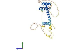 AlphaFold protein structure predicition of Mouse Recombinant Prrx1 Protein, UniprotID P63013