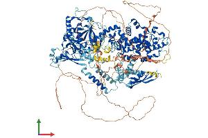 AlphaFold protein structure predicition of Mouse Recombinant Drosha Protein, UniprotID Q5HZJ0 (DROSHA Protein (AA 1-1373) (His tag))