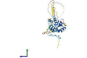 AlphaFold protein structure predicition of Human Recombinant CEP41 Protein, UniprotID Q9BYV8