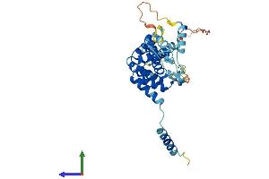 Protein Structure (PS) image for Transcriptional Adaptor 1 (TADA1) (AA 1-335) protein (His tag) (ABIN7560380)