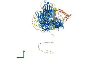 Protein Structure (PS) image for NLR Family, Pyrin Domain Containing 1B (NLRP1B) (AA 1-1172) protein (His tag) (ABIN7563651)