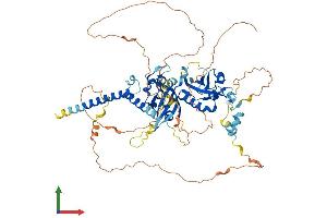 Protein Structure (PS) image for Hypoxia Inducible Factor 3, alpha Subunit (HIF3A) (AA 1-662) protein (His tag) (ABIN7563622)
