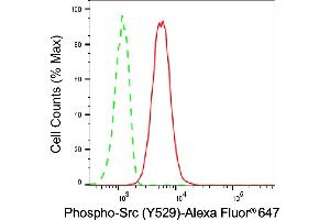 Flow cytometric analysis of Phospho-Src (Y529) expression in C2C12 cells using Phospho-Src (Y529) antibody (ABIN7800051), 1:2,000). (Recombinant Src 抗体  (pTyr529))