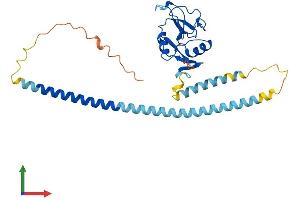 Protein Structure (PS) image for C-Type Lectin Domain Family 10, Member A (CLEC10A) (AA 1-316) protein (His tag) (ABIN7546557)