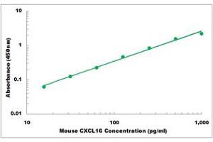 Representative Standard Curve (CXCL16 ELISA 试剂盒)