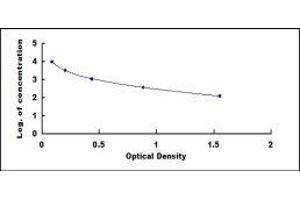 Endothelin Converting Enzyme 2 (ECE2) ELISA Kit