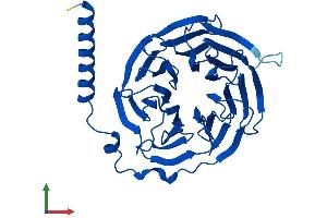 AlphaFold protein structure predicition of Mouse Recombinant Gnb3 Protein, UniprotID Q61011