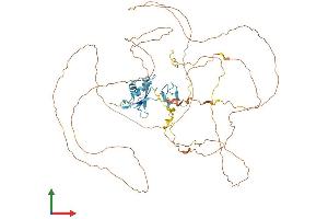 Protein Structure (PS) image for Ewing Sarcoma Breakpoint Region 1 (EWSR1) (AA 1-655) protein (His tag) (ABIN7557716)