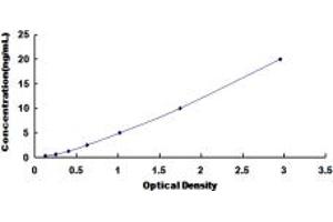 Typical standard curve (BIRC6 ELISA 试剂盒)