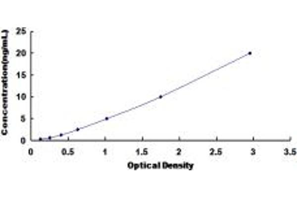 BIRC6 ELISA 试剂盒